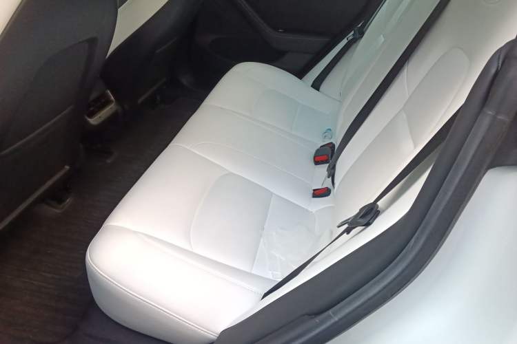 Used Tesla Model 3 2022 Performance High-Performance All-Wheel-Drive Version Left Rear Seat