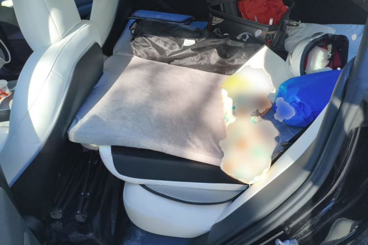 Used Tesla Model 3 2022 Rear-Wheel-Drive Version Left Rear Seat