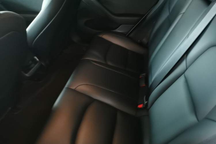 Used Tesla Model 3 2022 Rear-Wheel-Drive Version Left Rear Seat