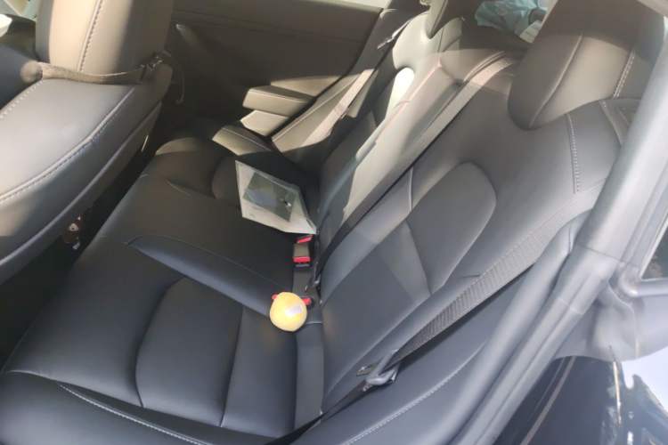 Used Tesla Model 3 2022 Rear-Wheel-Drive Version Left Rear Seat