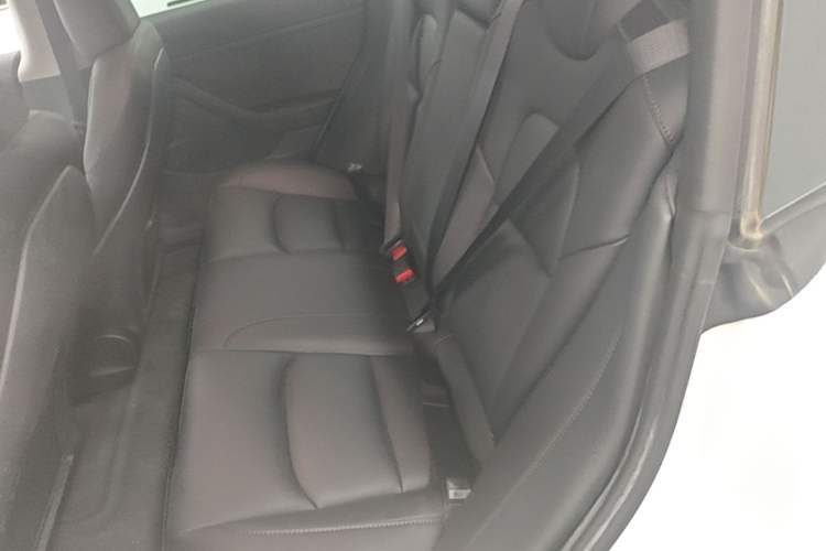 Used Tesla Model 3 2022 Rear-Wheel-Drive Version Left Rear Seat