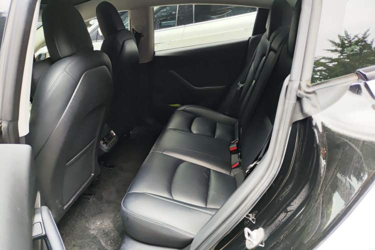 Used Tesla Model 3 2022 Rear-Wheel-Drive Version Left Rear Seat
