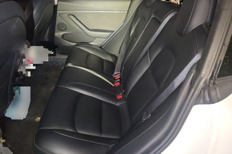 Used Tesla Model 3 2022 Rear-Wheel-Drive Version Left Rear Seat