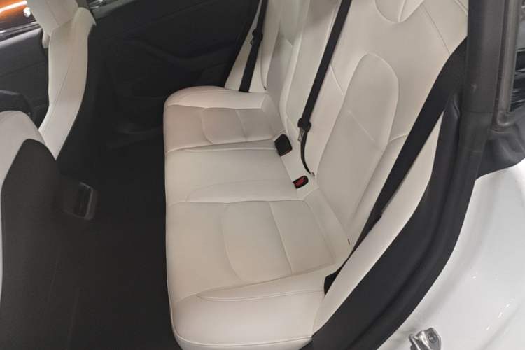 Used Tesla Model 3 2022 Performance High-Performance All-Wheel-Drive Version Left Rear Seat
