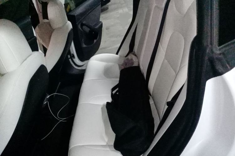 Used Tesla Model 3 2022 Performance High-Performance All-Wheel-Drive Version Left Rear Seat