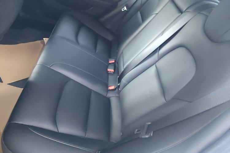 Used Tesla Model 3 2022 Rear-Wheel-Drive Version Left Rear Seat