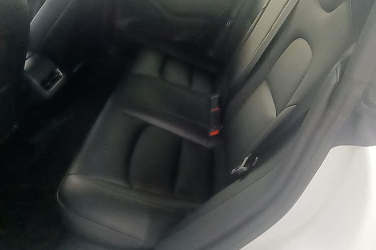 Used Tesla Model 3 2022 Performance High-Performance All-Wheel-Drive Version Left Rear Seat