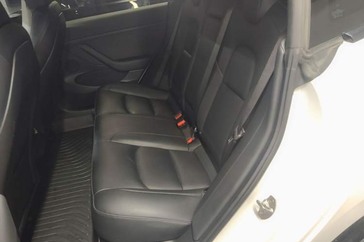 Used Tesla Model 3 2022 Performance High-Performance All-Wheel-Drive Version Left Rear Seat