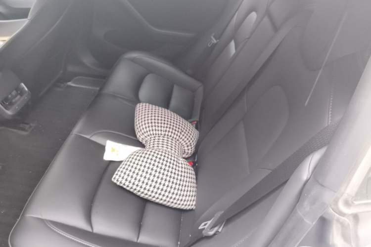 Used Tesla Model 3 2022 Rear-Wheel-Drive Version Left Rear Seat
