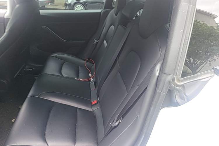 Used Tesla Model 3 2022 Rear-Wheel-Drive Version Left Rear Seat