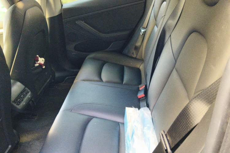 Used Tesla Model 3 2022 Rear-Wheel-Drive Version Left Rear Seat