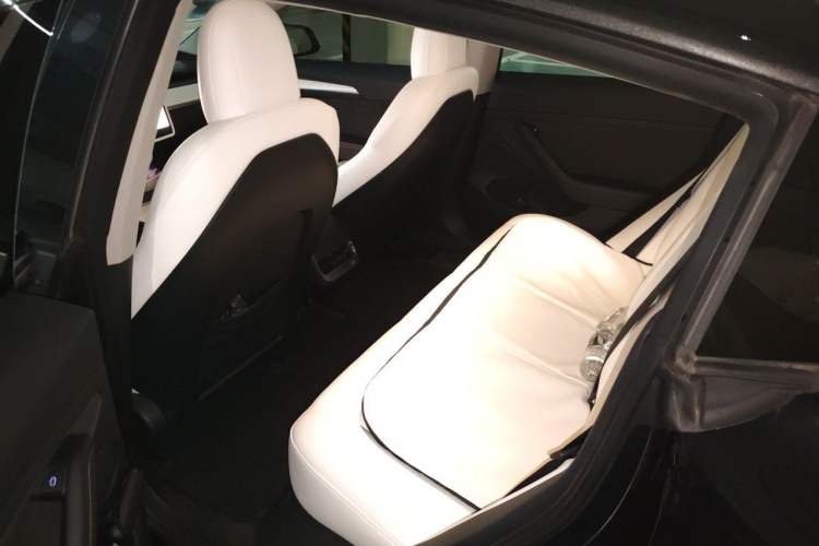 Used Tesla Model 3 2022 Rear-Wheel-Drive Version Left Rear Seat