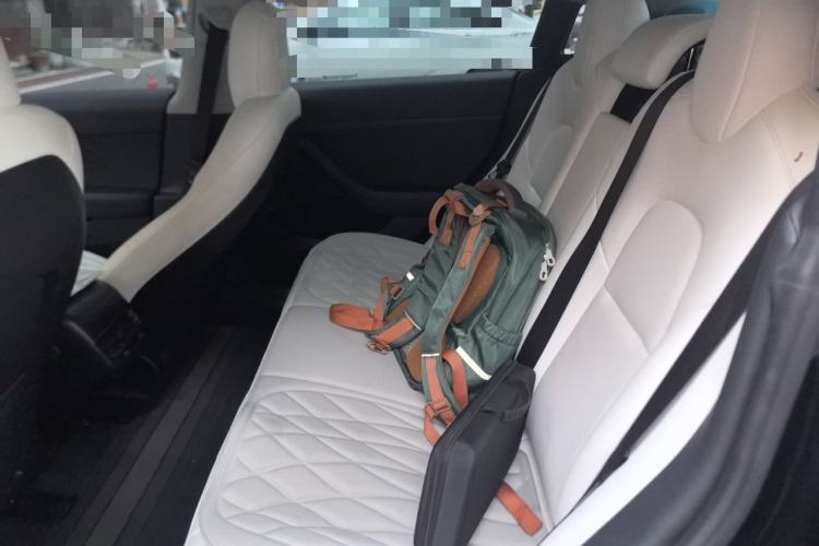 Used Tesla Model 3 2022 Rear-Wheel-Drive Version Left Rear Seat