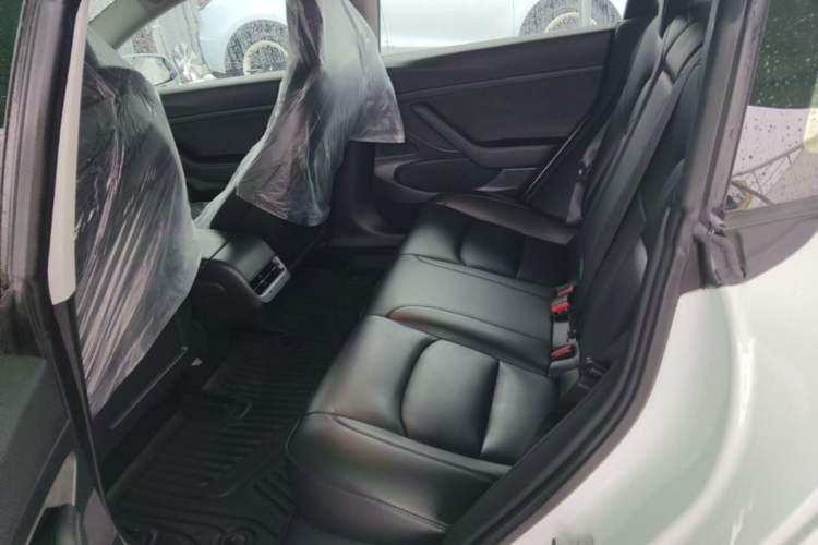Used Tesla Model 3 2022 Rear-Wheel-Drive Version Left Rear Seat