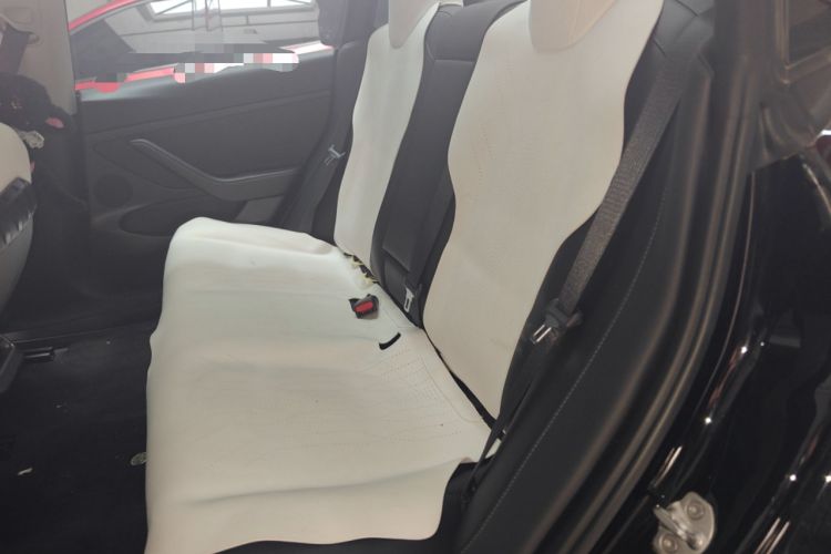 Used Tesla Model 3 2022 Rear-Wheel-Drive Version Left Rear Seat