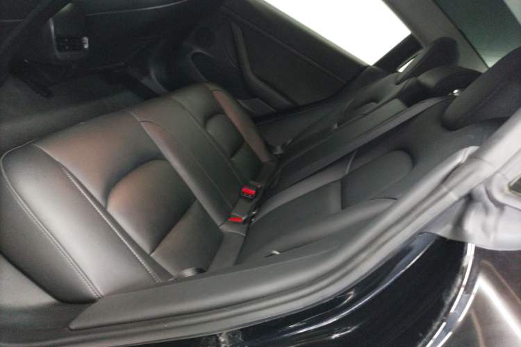 Used Tesla Model 3 2022 Rear-Wheel-Drive Version Left Rear Seat