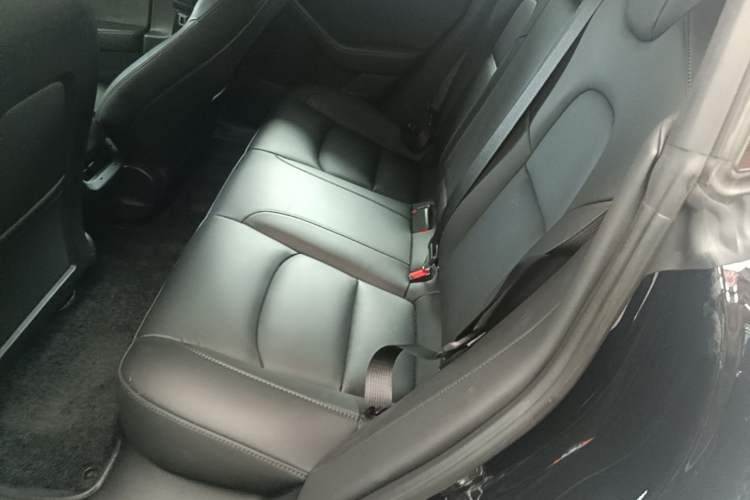 Used Tesla Model 3 2022 Rear-Wheel-Drive Version Left Rear Seat