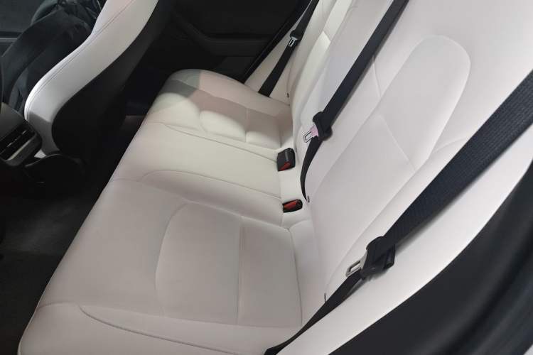Used Tesla Model 3 2022 Performance High-Performance All-Wheel-Drive Version Left Rear Seat