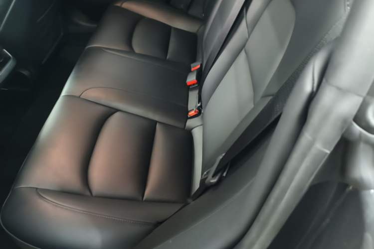 Used Tesla Model 3 2022 Performance High-Performance All-Wheel-Drive Version Left Rear Seat