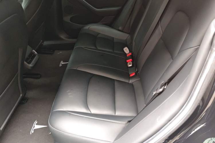 Used Tesla Model 3 2022 Rear-Wheel-Drive Version Left Rear Seat