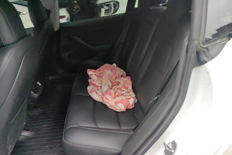 Used Tesla Model 3 2022 Rear-Wheel-Drive Version Left Rear Seat