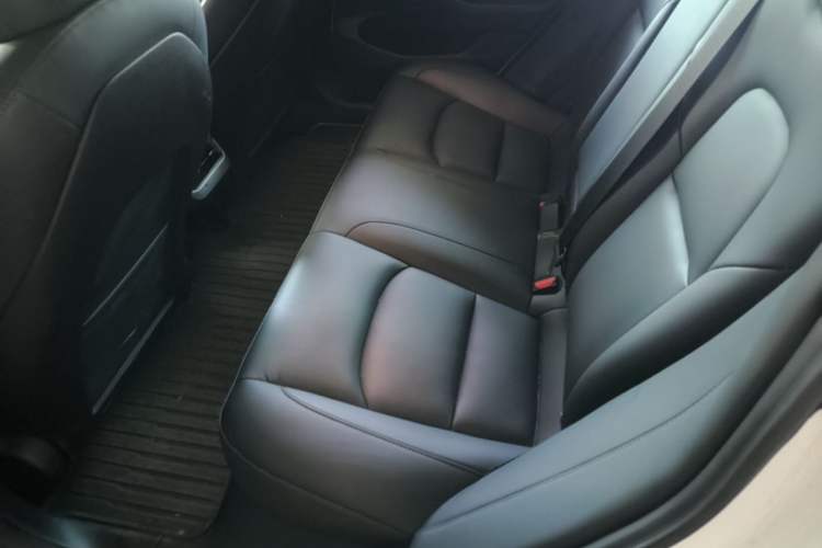 Used Tesla Model 3 2022 Rear-Wheel-Drive Version Left Rear Seat