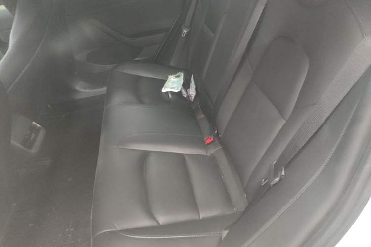 Used Tesla Model 3 2022 Rear-Wheel-Drive Version Left Rear Seat