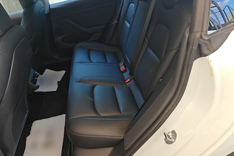 Used Tesla Model 3 2022 Performance High-Performance All-Wheel-Drive Version Left Rear Seat