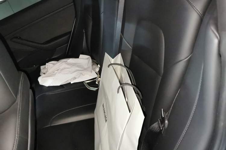 Used Tesla Model 3 2022 Rear-Wheel-Drive Version Left Rear Seat