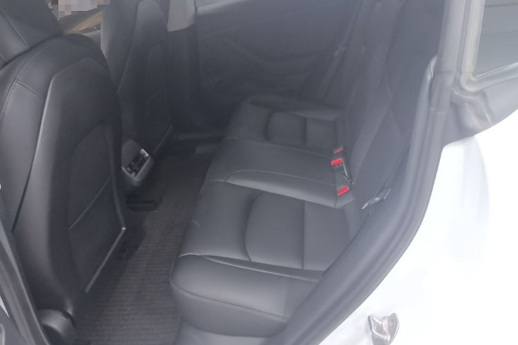 Used Tesla Model 3 2022 Performance High-Performance All-Wheel-Drive Version Left Rear Seat