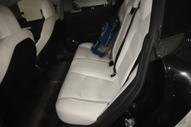 Used Tesla Model 3 2022 Rear-Wheel-Drive Version Left Rear Seat