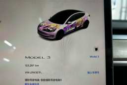 Thumbnail 15