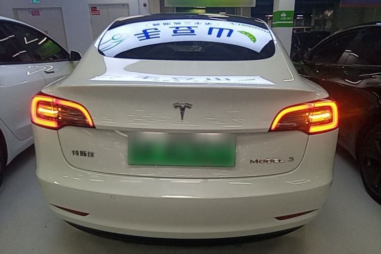 Used Tesla Model 3 2022 Rear-Wheel-Drive Version Rear
