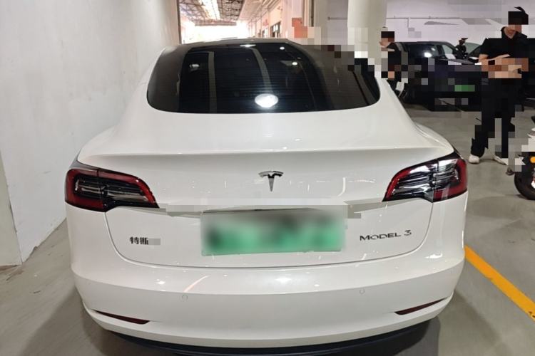 Used Tesla Model 3 2022 Rear-Wheel-Drive Version Rear