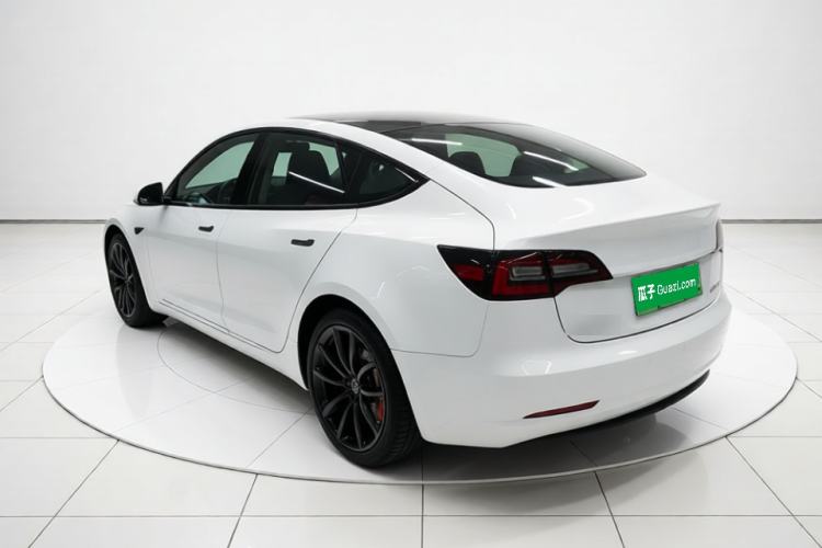 Used Tesla Model 3 2022 Performance High-Performance All-Wheel-Drive Version Rear Left 45 Deg