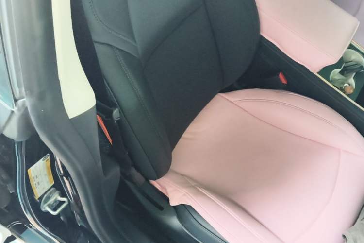 Used Tesla Model 3 2022 Rear-Wheel-Drive Version Right Front Seat