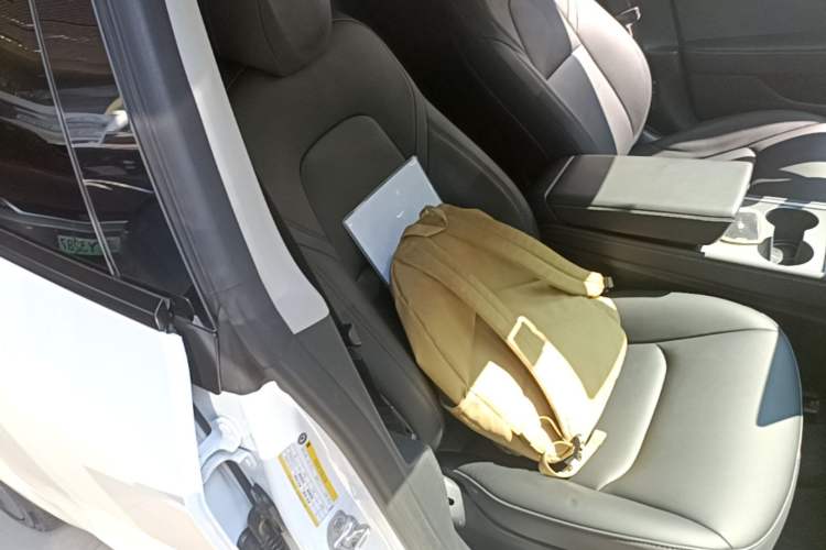 Used Tesla Model 3 2022 Rear-Wheel-Drive Version Right Front Seat