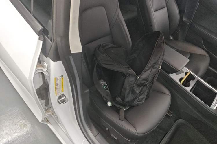 Used Tesla Model 3 2022 Rear-Wheel-Drive Version Right Front Seat