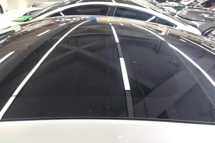 Used Tesla Model 3 2022 Rear-Wheel-Drive Version Roof
