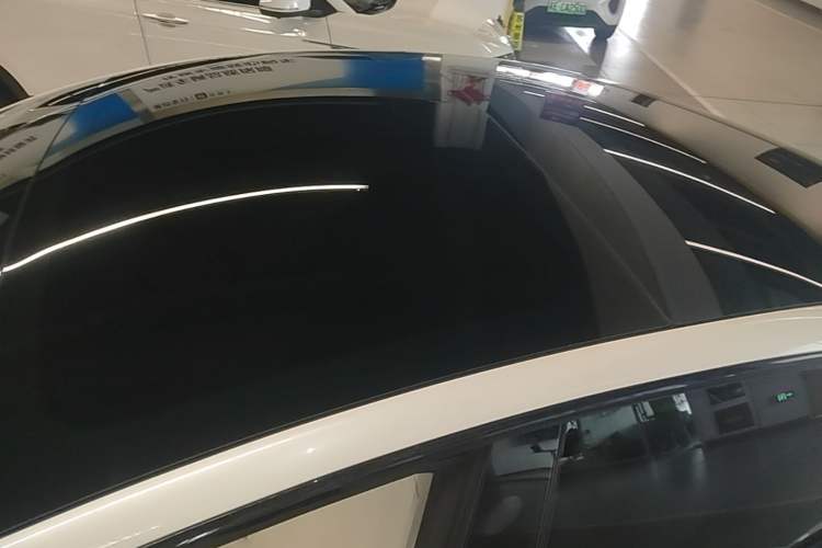 Used Tesla Model 3 2022 Rear-Wheel-Drive Version Roof