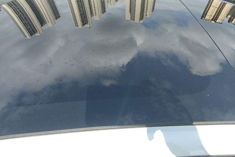 Used Tesla Model 3 2022 Rear-Wheel-Drive Version Roof