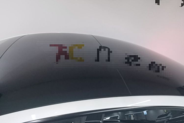 Used Tesla Model 3 2022 Rear-Wheel-Drive Version Roof