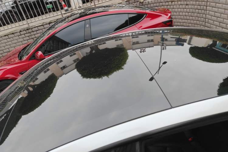 Used Tesla Model 3 2022 Performance High-Performance All-Wheel-Drive Version Roof