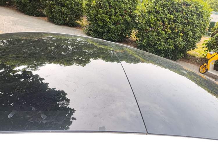 Used Tesla Model 3 2022 Rear-Wheel-Drive Version Roof