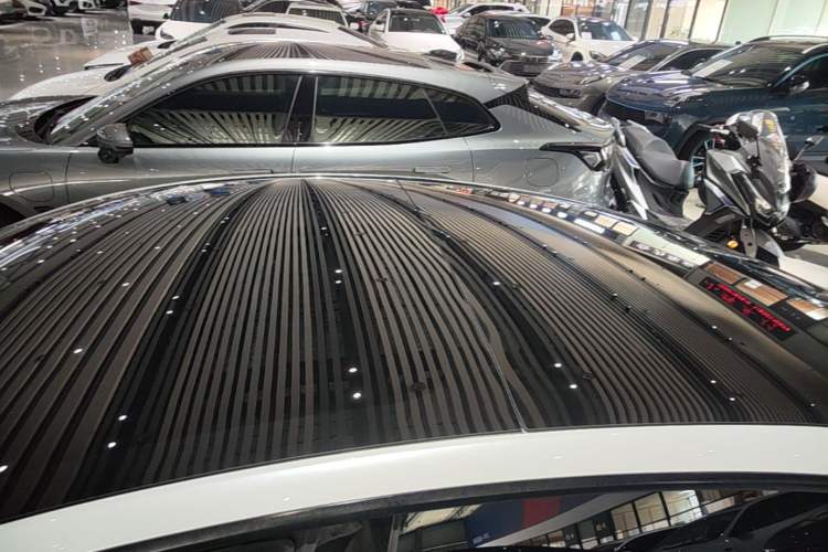 Used Tesla Model 3 2022 Rear-Wheel-Drive Version Roof
