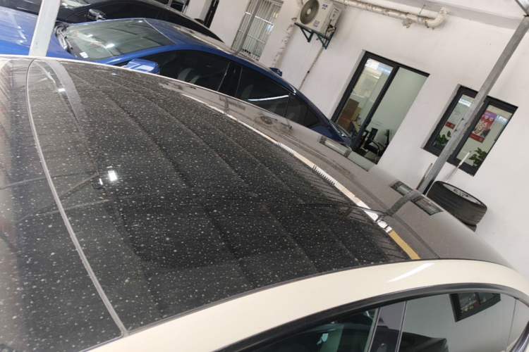 Used Tesla Model 3 2022 Rear-Wheel-Drive Version Roof