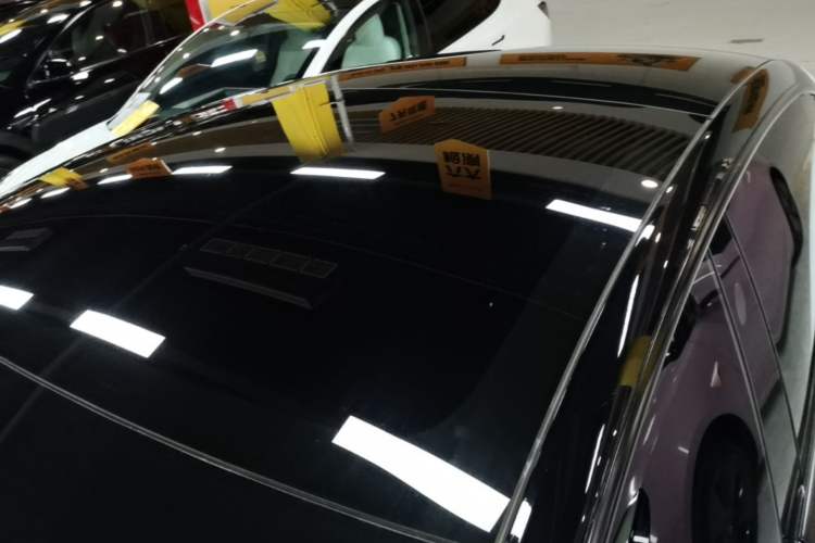 Used Tesla Model 3 2022 Rear-Wheel-Drive Version Roof