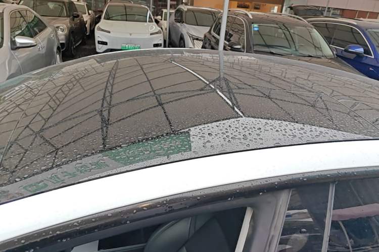 Used Tesla Model 3 2022 Rear-Wheel-Drive Version Roof