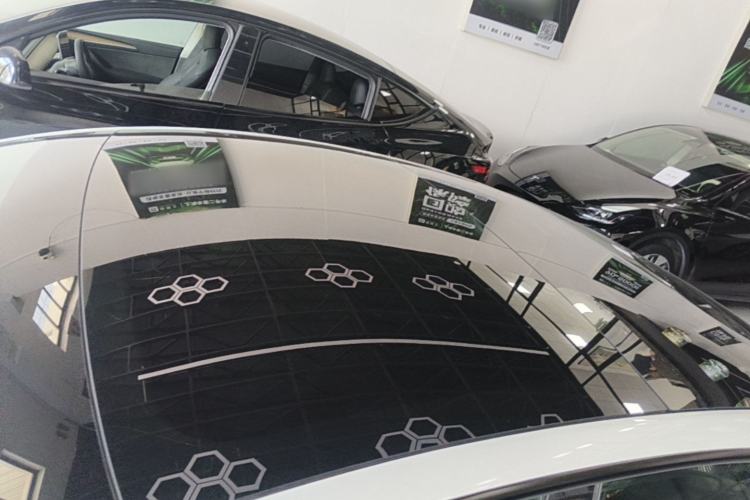 Used Tesla Model 3 2022 Rear-Wheel-Drive Version Roof