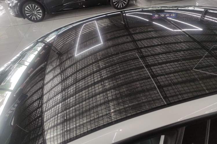 Used Tesla Model 3 2022 Rear-Wheel-Drive Version Roof
